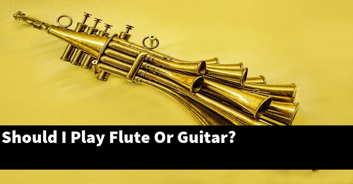 Should I Play Flute Or Guitar?